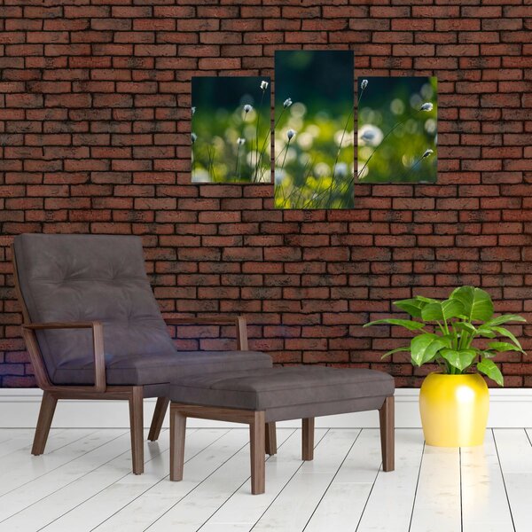 Slika - Trava (90x60 cm)