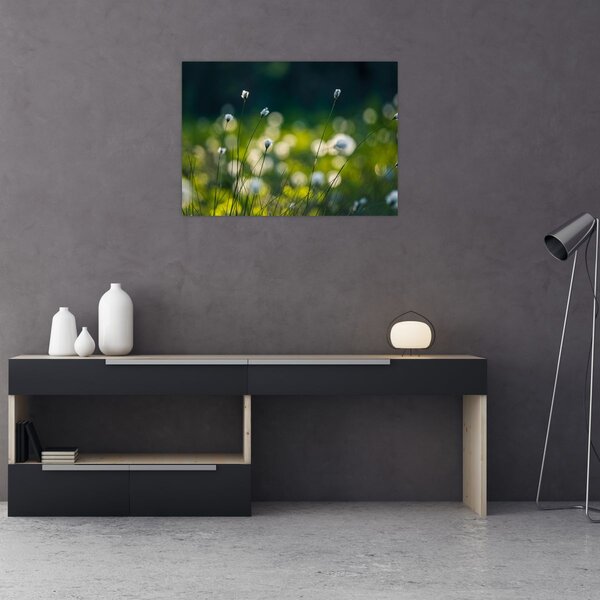 Slika - Trava (70x50 cm)