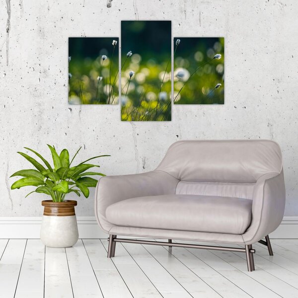 Slika - Trava (90x60 cm)
