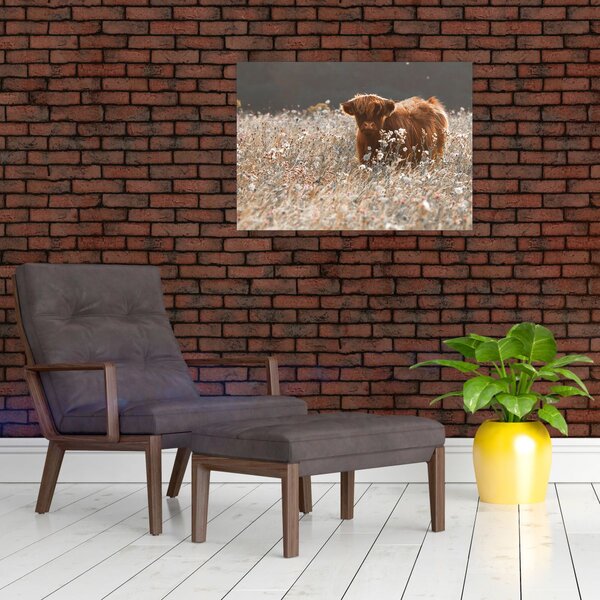 Slika - Škotska krava u cvijeću (70x50 cm)