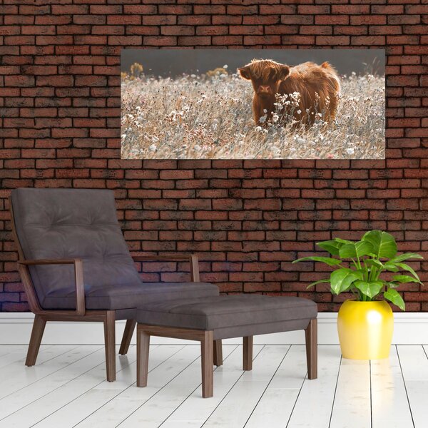 Slika - Škotska krava u cvijeću (120x50 cm)