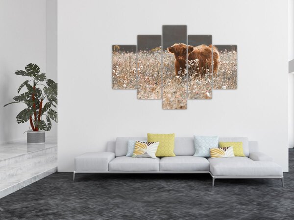 Slika - Škotska krava u cvijeću (150x105 cm)