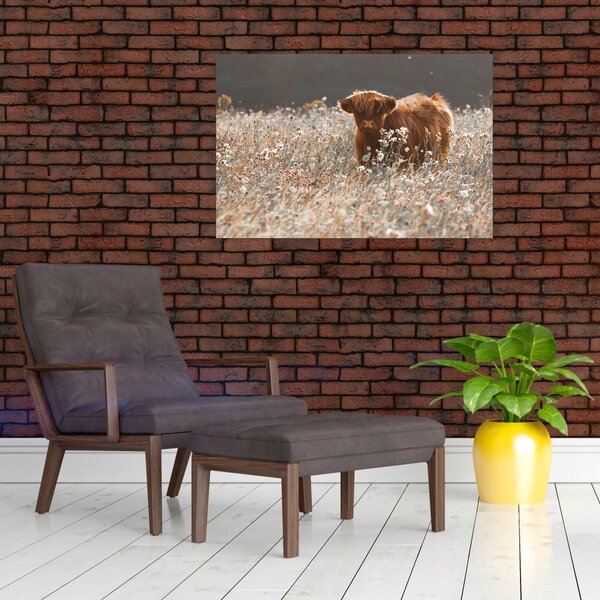 Slika - Škotska krava u cvijeću (90x60 cm)