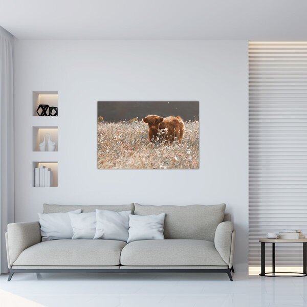 Slika - Škotska krava u cvijeću (90x60 cm)