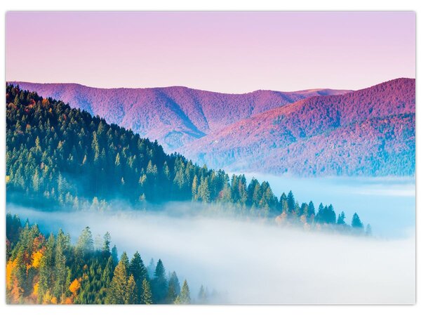 Slika - Panorama 2 (70x50 cm)