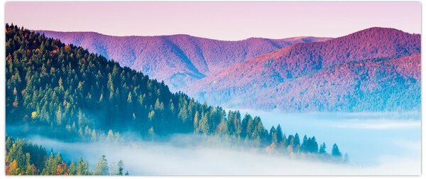 Slika - Panorama 2 (120x50 cm)