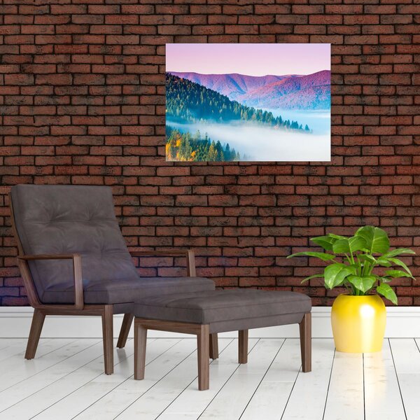 Slika - Panorama 2 (70x50 cm)