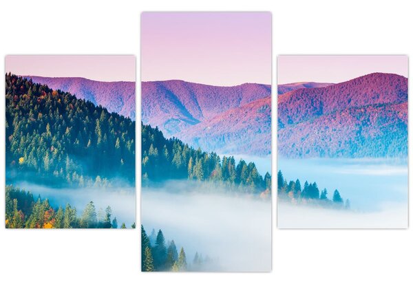 Slika - Panorama 2 (90x60 cm)