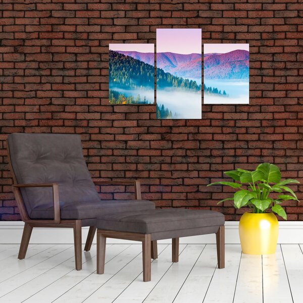 Slika - Panorama 2 (90x60 cm)