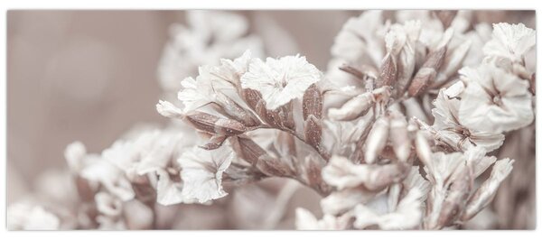 Slika - Detalj grančica (120x50 cm)