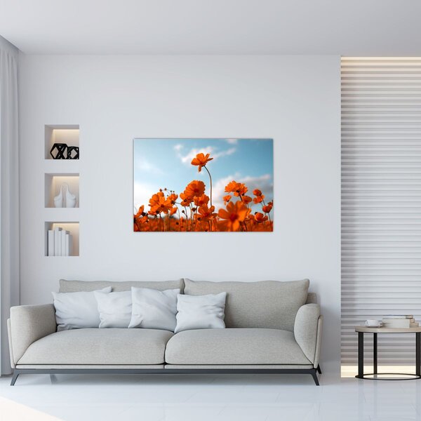 Slika - Livadsko cvijeće (90x60 cm)