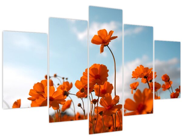 Slika - Livadsko cvijeće (150x105 cm)