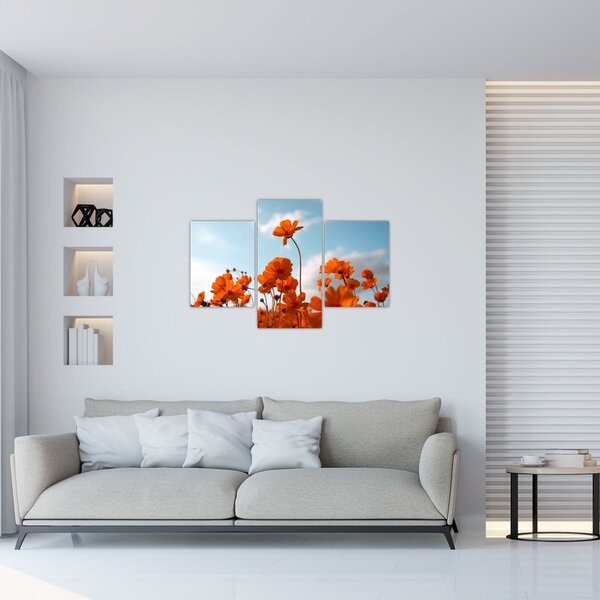 Slika - Livadsko cvijeće (90x60 cm)