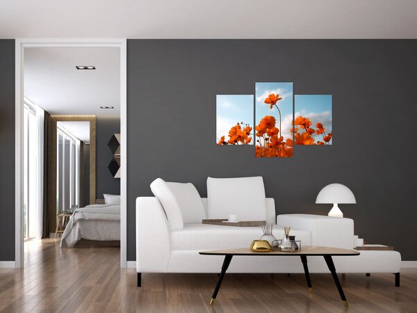 Slika - Livadsko cvijeće (90x60 cm)