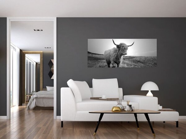 Slika - Škotska krava, crno-bijela (120x50 cm)
