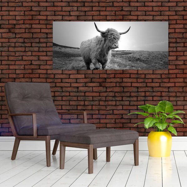 Slika - Škotska krava, crno-bijela (120x50 cm)