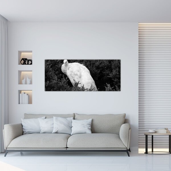 Slika - Paun, crno-bijela (120x50 cm)