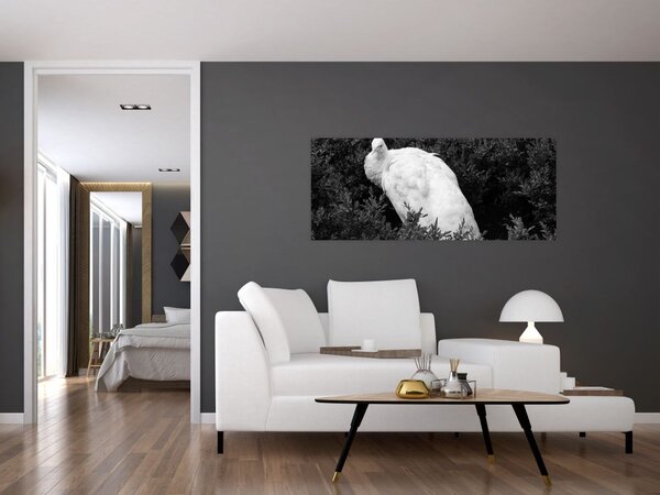 Slika - Paun, crno-bijela (120x50 cm)