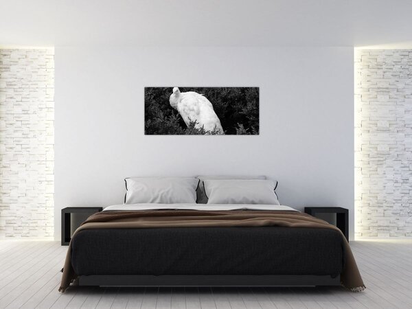 Slika - Paun, crno-bijela (120x50 cm)