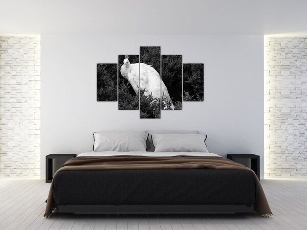 Slika - Paun, crno-bijela (150x105 cm)