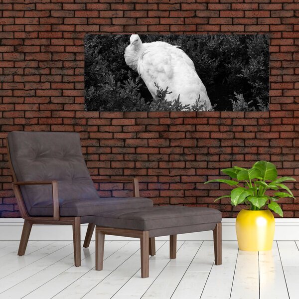Slika - Paun, crno-bijela (120x50 cm)