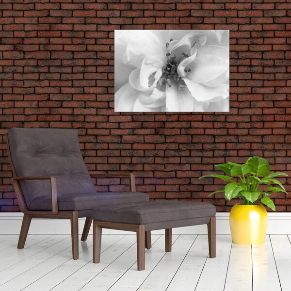 Slika - Cvijet, crno-bijela (70x50 cm)