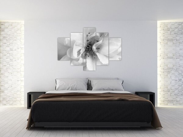 Slika - Cvijet, crno-bijela (150x105 cm)
