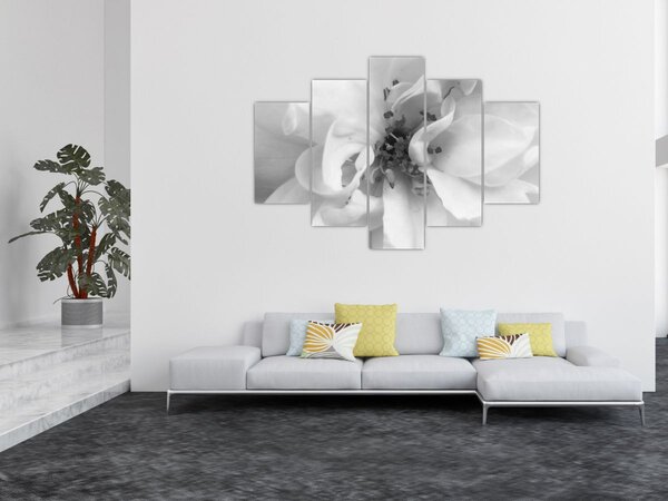 Slika - Cvijet, crno-bijela (150x105 cm)