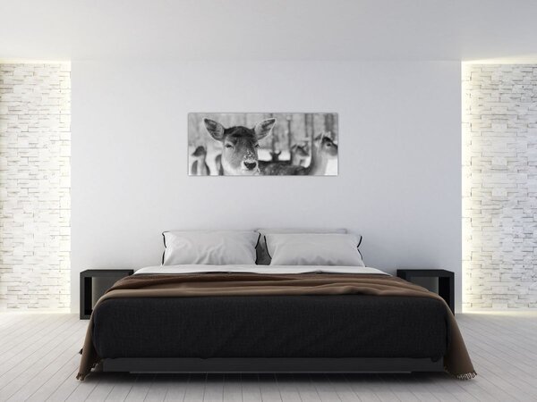 Slika - Bambi, crno-bijela (120x50 cm)