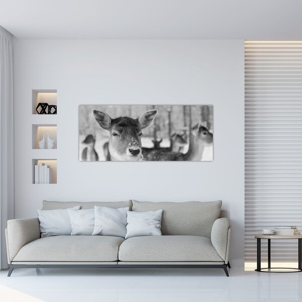 Slika - Bambi, crno-bijela (120x50 cm)