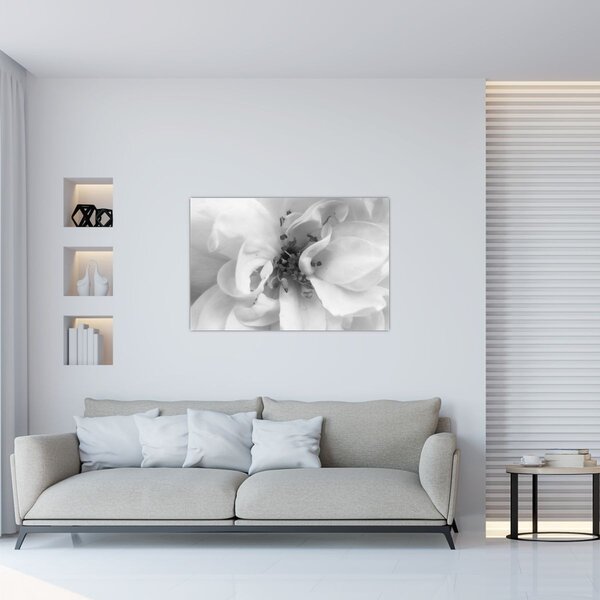 Slika - Cvijet, crno-bijela (90x60 cm)