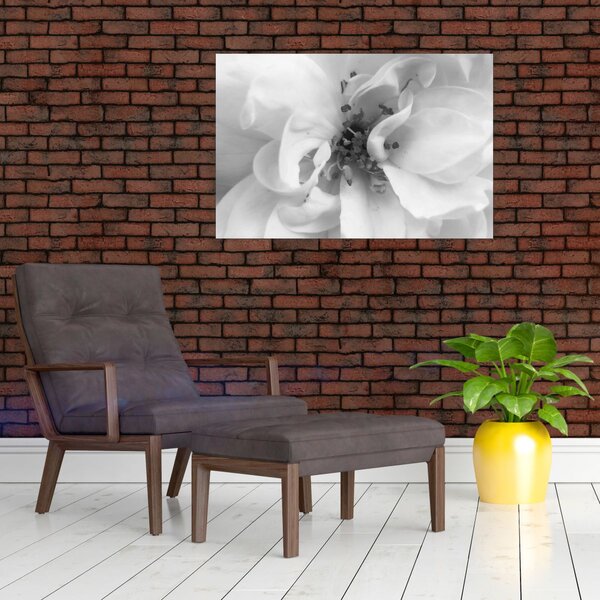 Slika - Cvijet, crno-bijela (90x60 cm)