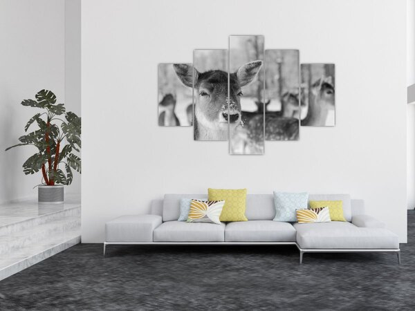 Slika - Bambi, crno-bijela (150x105 cm)