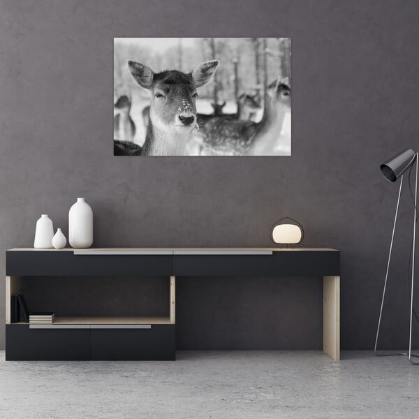 Slika - Bambi, crno-bijela (90x60 cm)