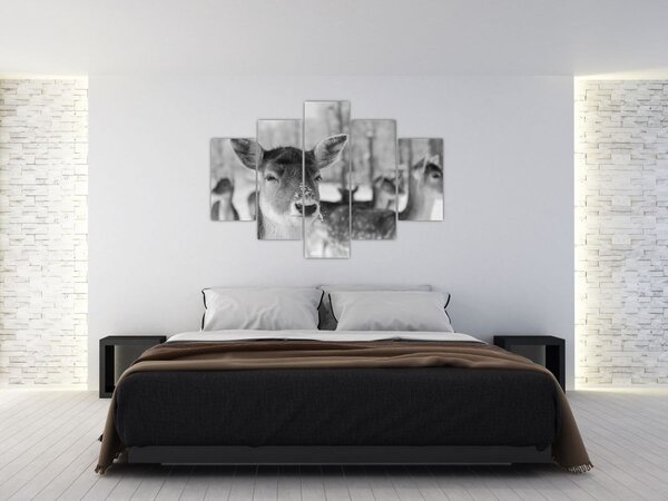 Slika - Bambi, crno-bijela (150x105 cm)