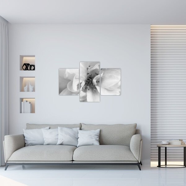 Slika - Cvijet, crno-bijela (90x60 cm)