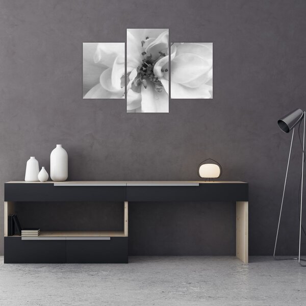 Slika - Cvijet, crno-bijela (90x60 cm)