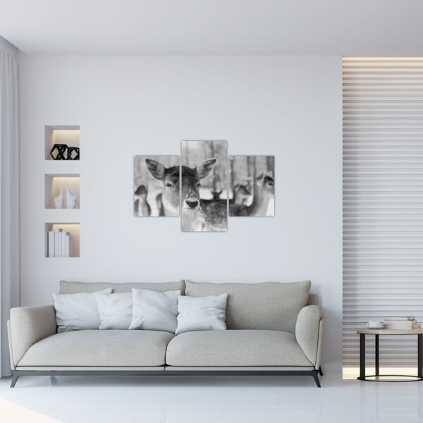 Slika - Bambi, crno-bijela (90x60 cm)