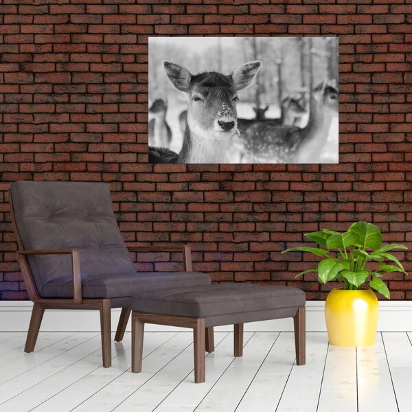 Slika - Bambi, crno-bijela (90x60 cm)