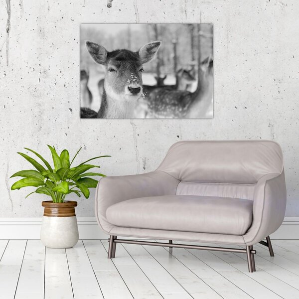 Slika - Bambi, crno-bijela (70x50 cm)