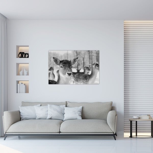 Slika - Bambi, crno-bijela (90x60 cm)