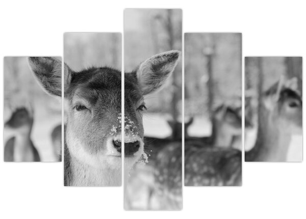 Slika - Bambi, crno-bijela (150x105 cm)
