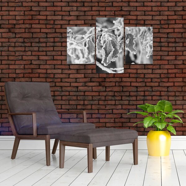 Slika - Smrznuto lišće, crno-bijela (90x60 cm)