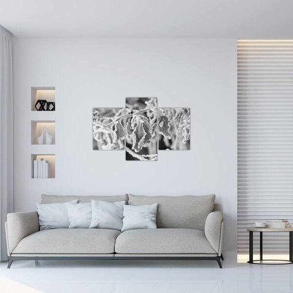 Slika - Smrznuto lišće, crno-bijela (90x60 cm)