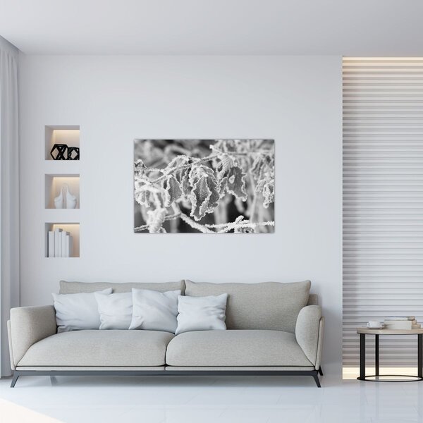 Slika - Smrznuto lišće, crno-bijela (90x60 cm)