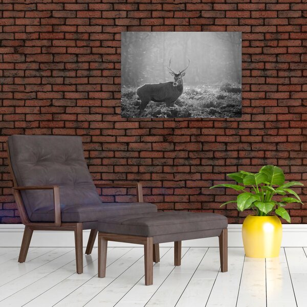 Slika - Jelen u šumi, crno-bijela (70x50 cm)
