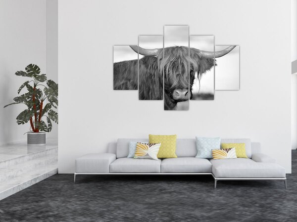 Slika - Škotska krava 2, crno-bijela (150x105 cm)