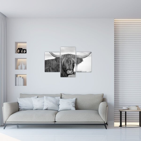 Slika - Škotska krava 2, crno-bijela (90x60 cm)