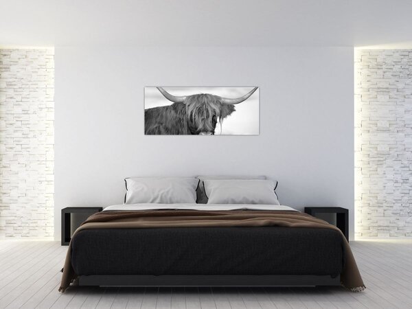 Slika - Škotska krava 2, crno-bijela (120x50 cm)