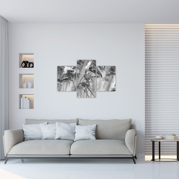 Slika - Lipnice, crno-bijela (90x60 cm)